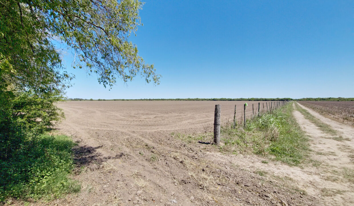 campo mixto