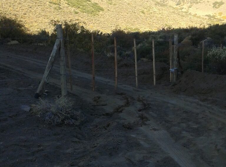 campo en neuquen