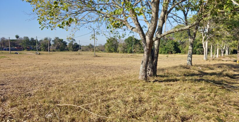 loteo romang zona norte