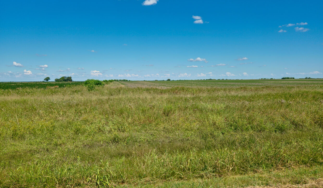 campo en las palmas 2
