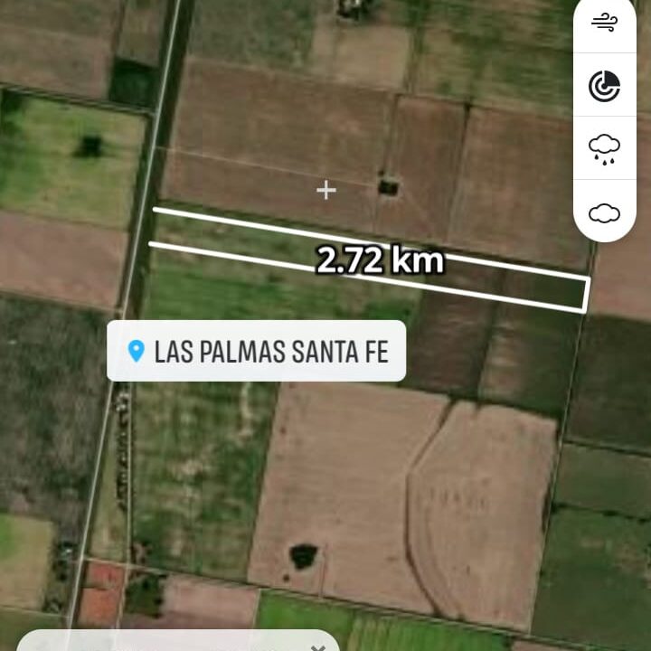 campo en las palmas